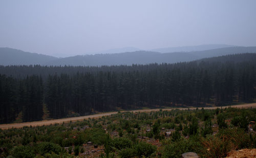 Scenic view of landscape against sky