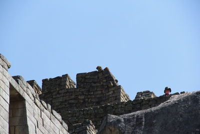 Low angle view of man against clear blue sky