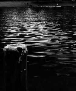 Reflection of trees in water