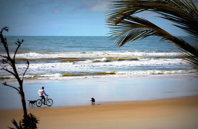 Side view of man riding bicycle at beach