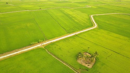 High angle view of green landscape