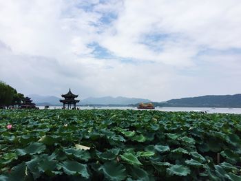 Scenic view of lake against sky