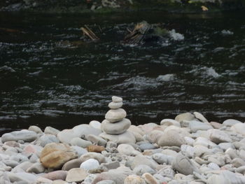 Close-up of chess on rocks in water