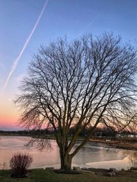 Bare tree by lake against sky during sunset