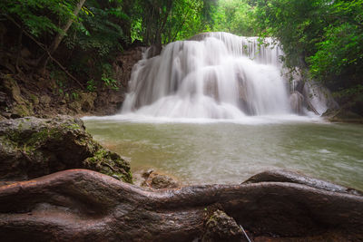 Scenic view of waterfall in forest