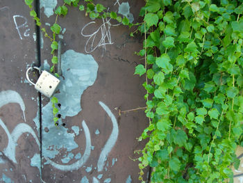 High angle view of graffiti on wall