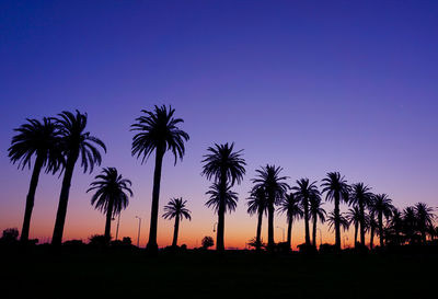 Silhouette palm trees against sky during sunset