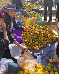 Various fruits for sale at market stall