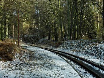 Dirt road amidst trees