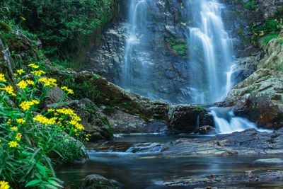 Waterfall flowing streams through rocks in forest with blurred water surface long exposure shot