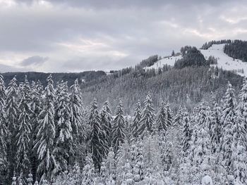 Scenic view of snow covered land against sky