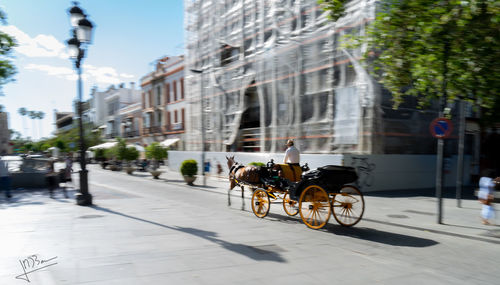 Bicycles on street in city