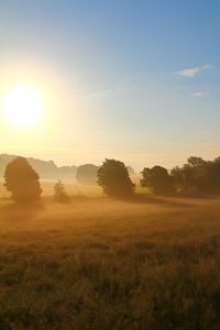 Scenic view of field against sky during sunset