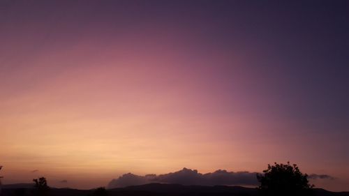 Silhouette trees against sky during sunset