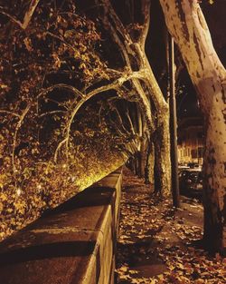 Low angle view of illuminated tunnel in city at night