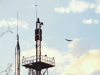 Low angle view of birds flying against sky
