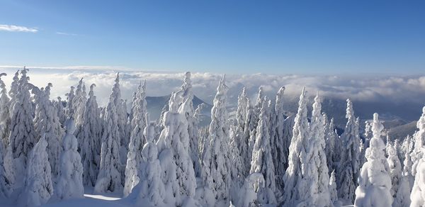 Panoramic shot of snow covered landscape against blue sky