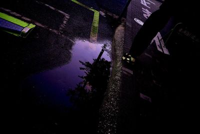 Reflection of trees in puddle