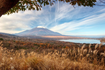 Scenic view of landscape against sky