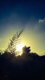 Low angle view of silhouette trees on field against sky at sunset