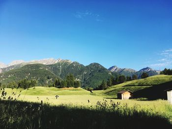 Scenic view of field against blue sky