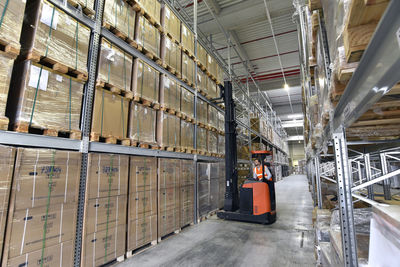 Man in factory hall on forklift