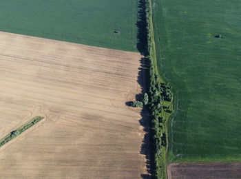 High angle view of agricultural field