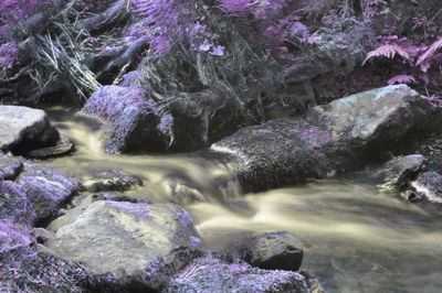 Reflection of rocks in water