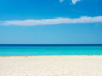 sea