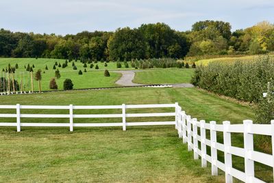 Scenic view of cemetery against sky