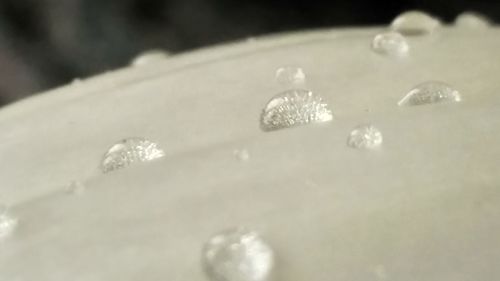 Close-up of water drops on snow