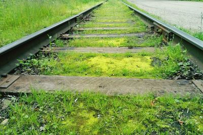 Railroad track amidst grass