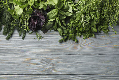 High angle view of plants growing on footpath