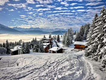 Panoramic view of snow covered mountain