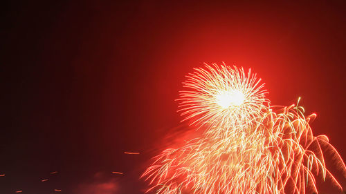 Low angle view of firework display at night