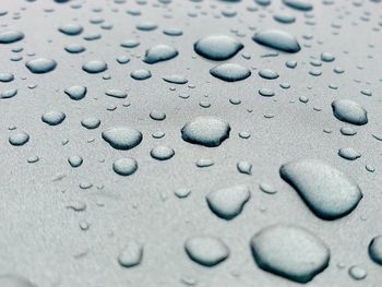 Full frame shot of raindrops on rainy season