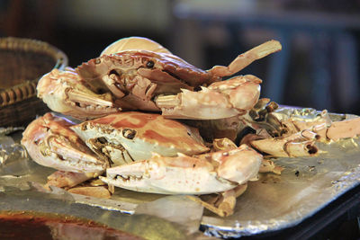 Close-up of crabs on tray