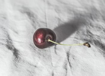 Close-up of cherry on textile