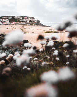 Mid distance view of houses by sea against cloudy sky