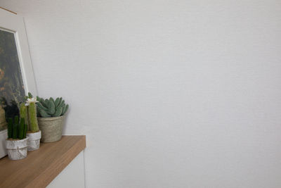 Potted plant on table at home