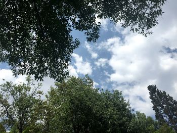 Low angle view of trees against cloudy sky