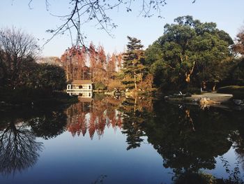 Reflection of trees in lake against sky