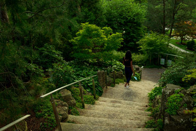 Rear view of man walking on staircase in forest