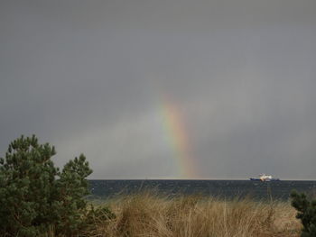 Scenic view of rainbow over trees against sky