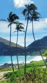 Scenic view of sea against blue sky