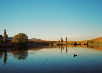 Scenic view of lake against clear blue sky