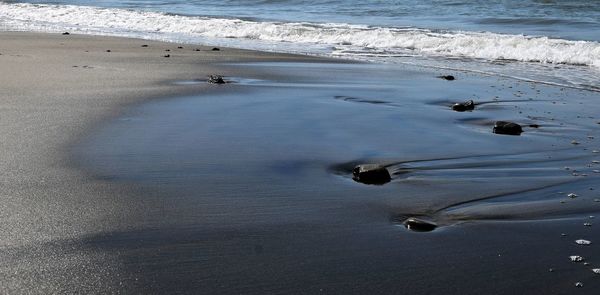 High angle view of crab on beach