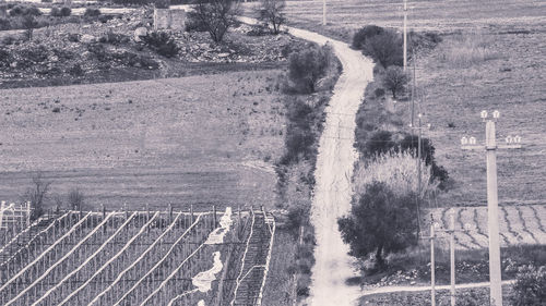 High angle view of road amidst trees on field