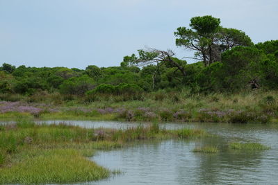 Scenic view of lake against sky