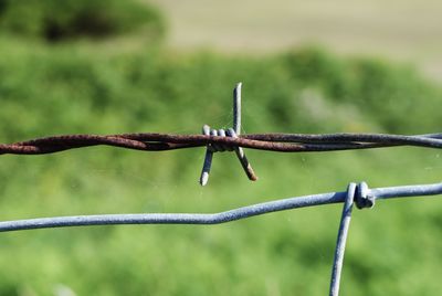 Close-up of barbed wire on fence